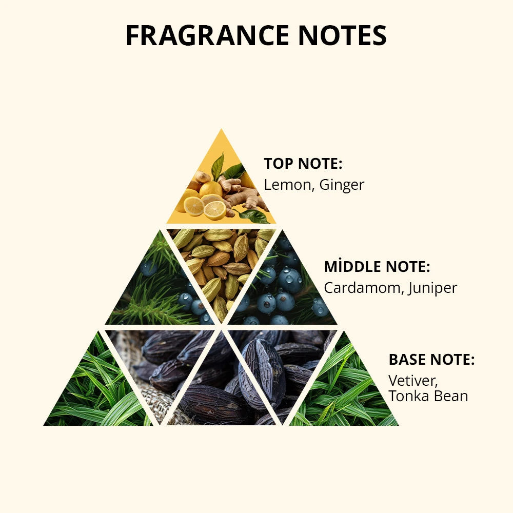 Extension Shampoo - Condenser