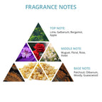 Hair Tonic Boost