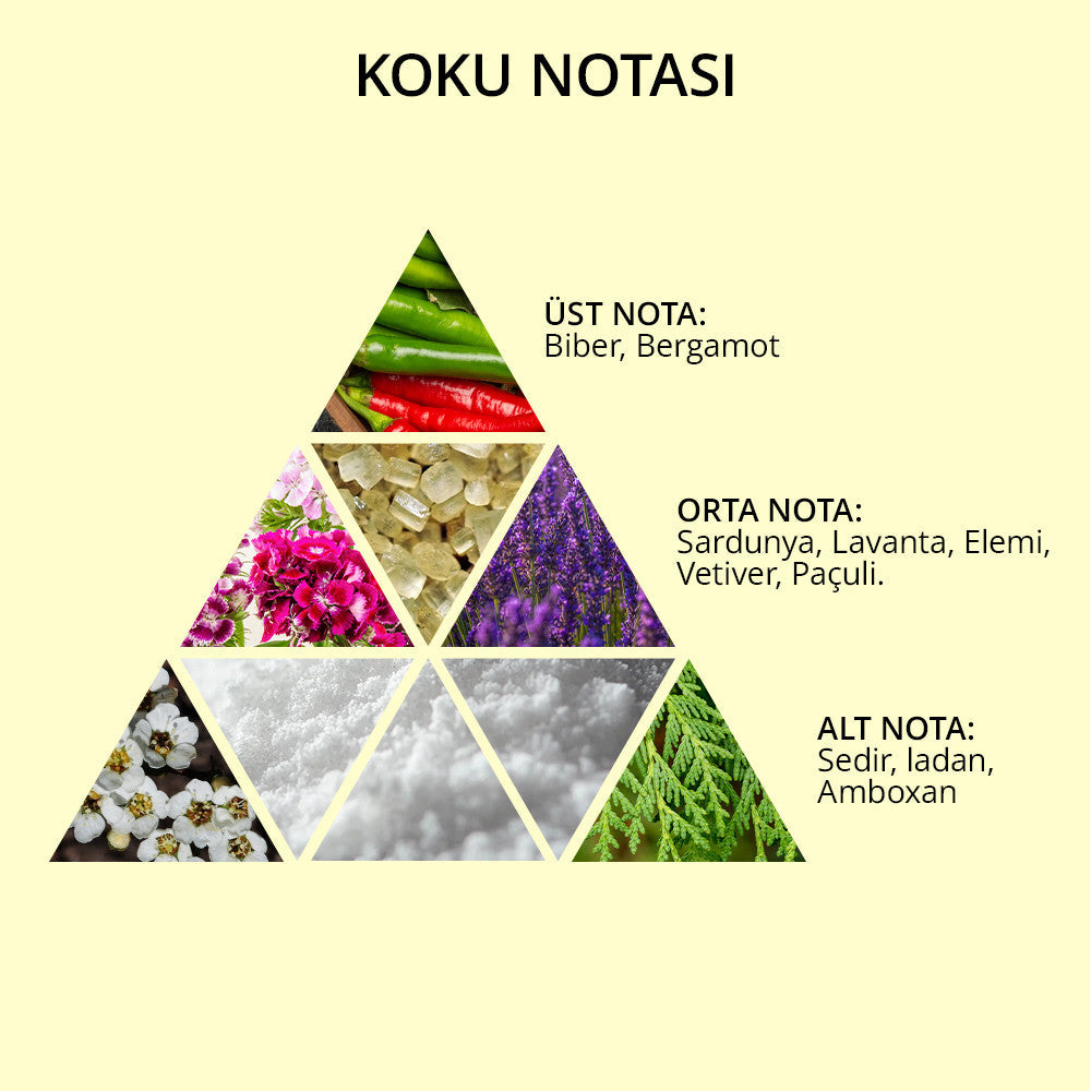 Pro-Matte Paste - Apex